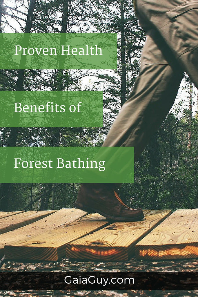 Scientific Proof That Forest Bathing Works