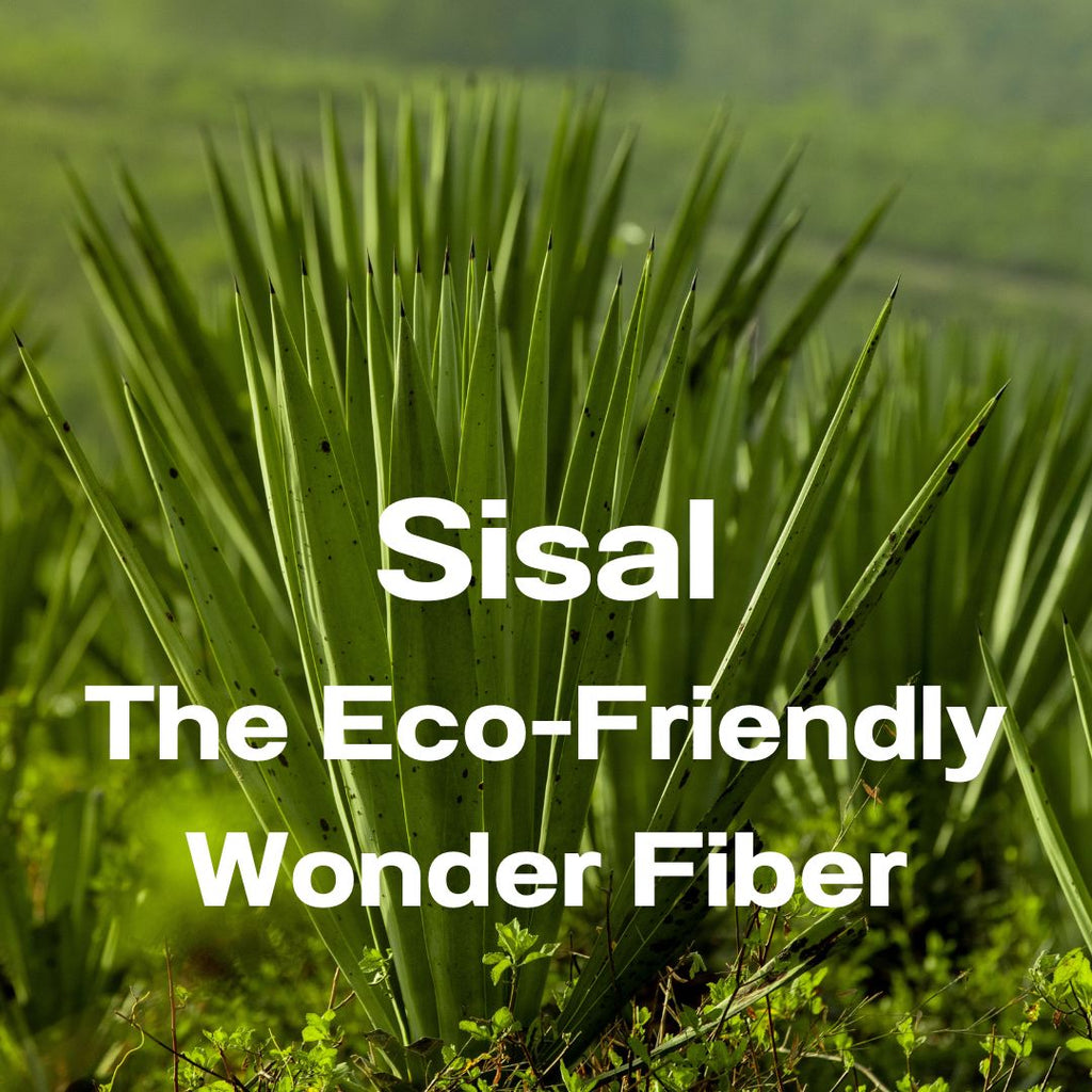 Sisal: The Eco-Friendly Wonder Fiber