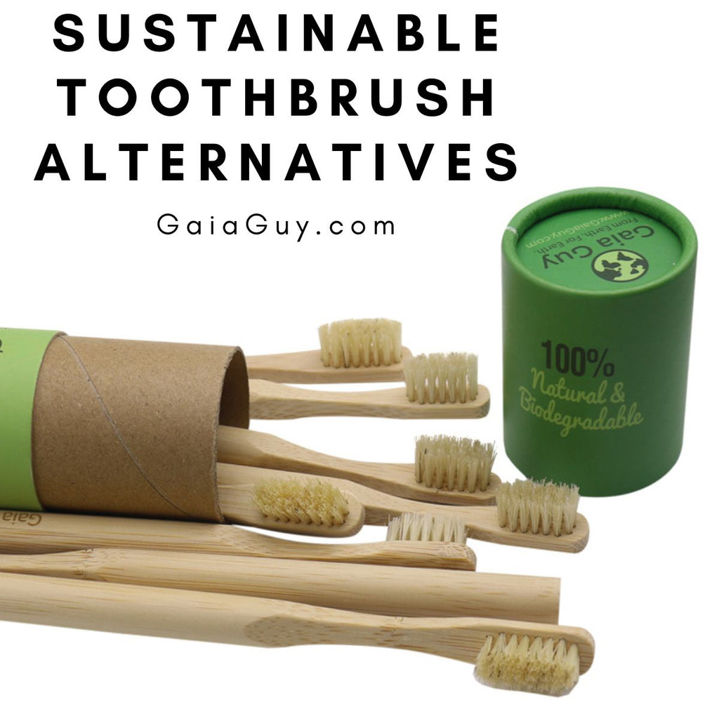 Sustainable Toothbrush Alternatives Exploring EcoFriendly and Biodeg