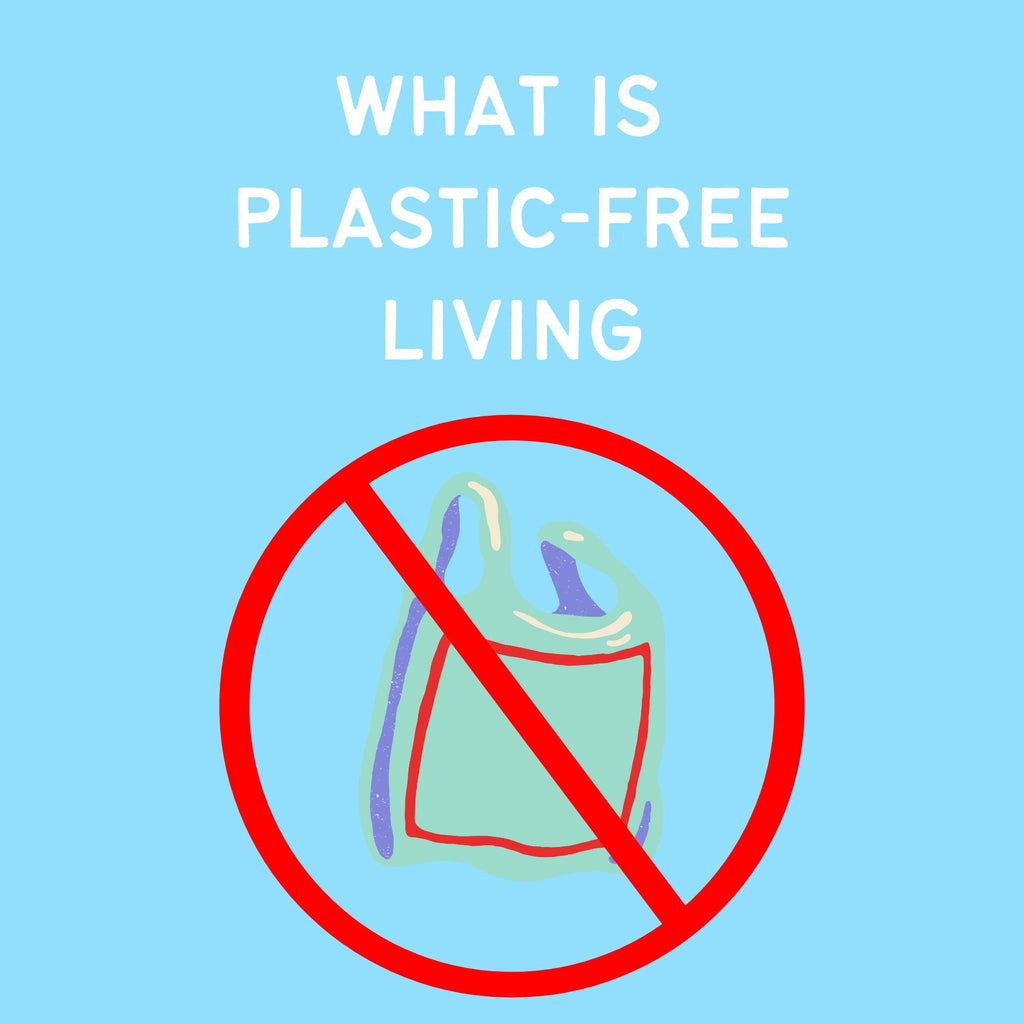 What is Plastic-Free Living