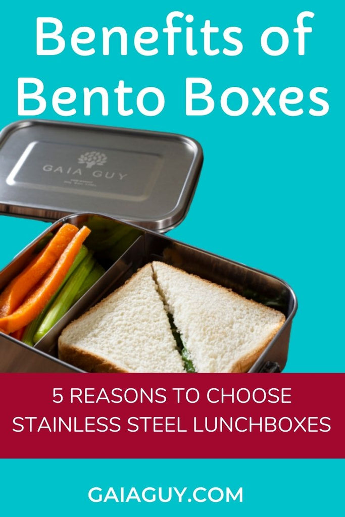http://www.gaiaguy.com/cdn/shop/articles/benefits_of_stainless_steel_bento_lunchboxes_1024x1024.jpg?v=1601536916