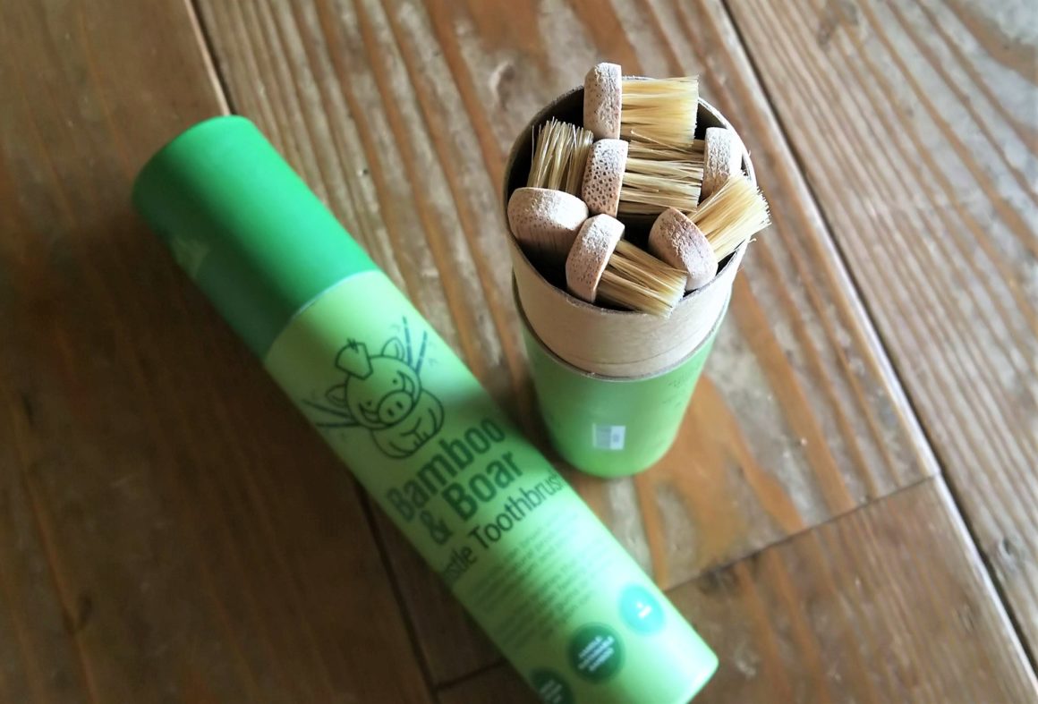 天然毛の竹歯ブラシ（ナイロン不使用）- 完全 100%生分解性 豚毛・竹