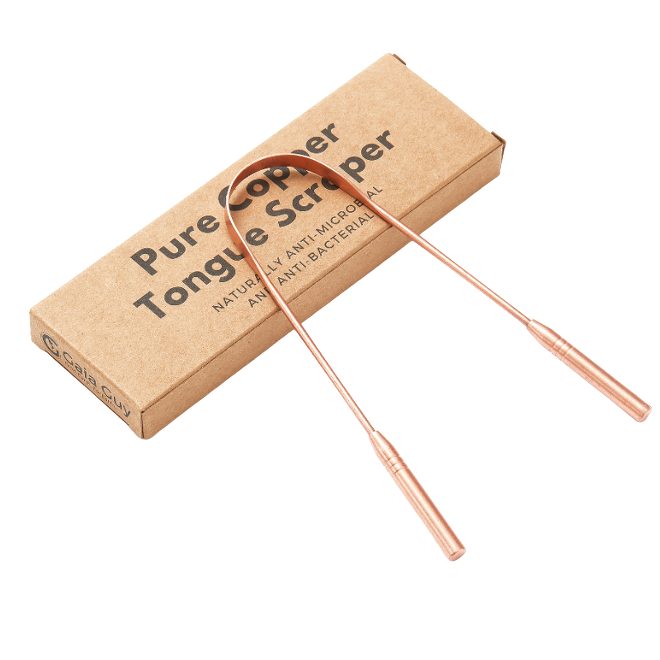 Eco Dental Kit | Bamboo and Horsehair Bristle Toothbrushes + Silk Floss + Travel Case + Copper Tongue Scraper | Zero Waste Bathroom