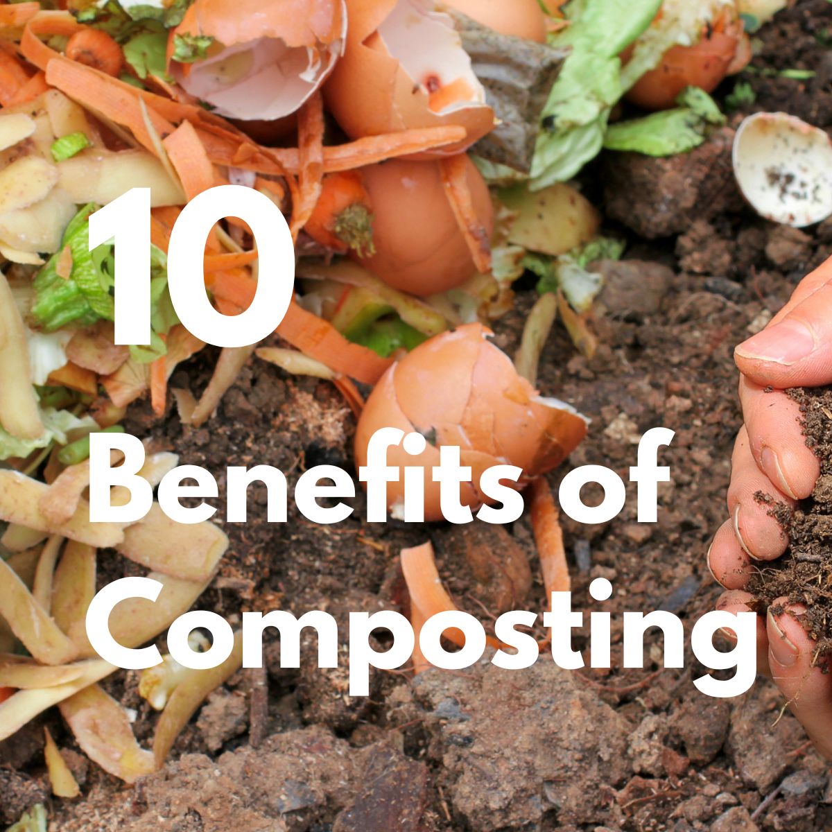 Why Should You Compost? (10 Benefits of Composting) β Gaia Guy