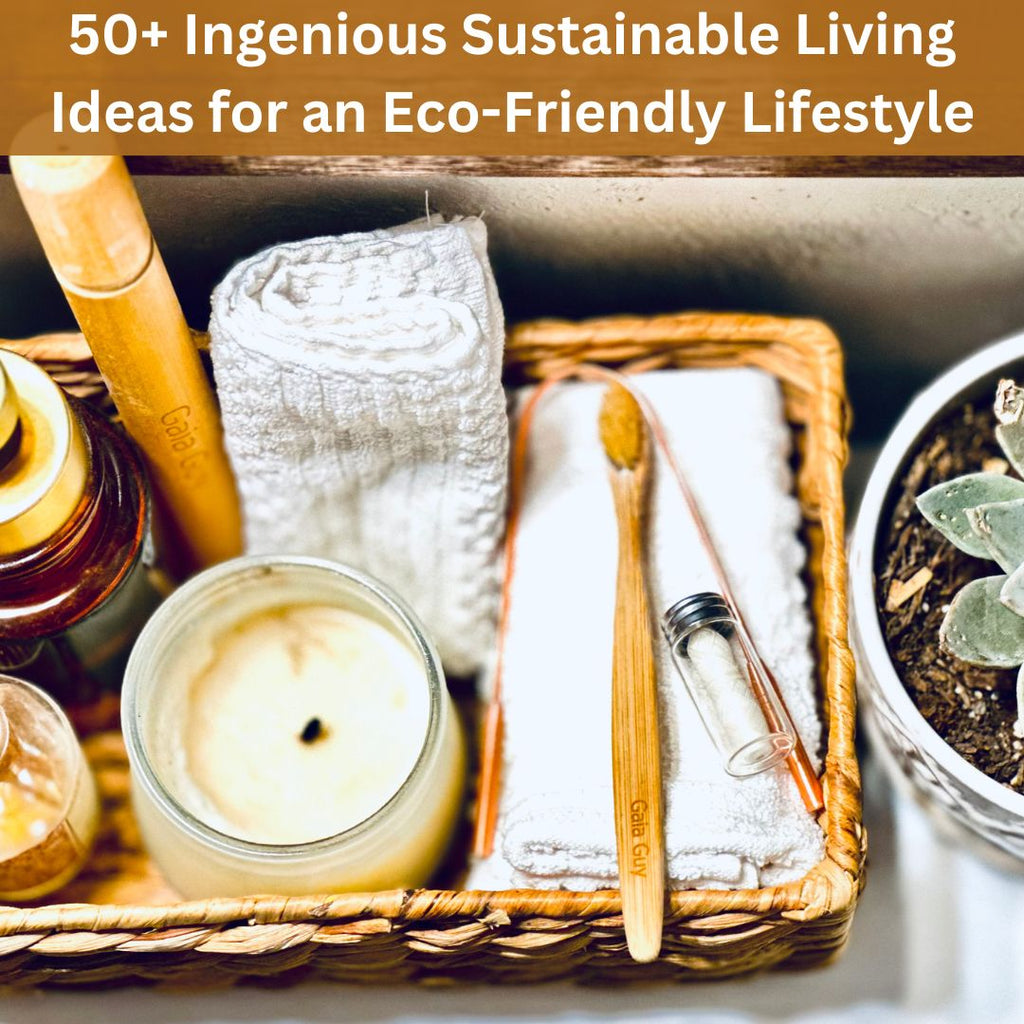 50+ Ingenious Sustainable Living Ideas for an Eco-Friendly Lifestyle