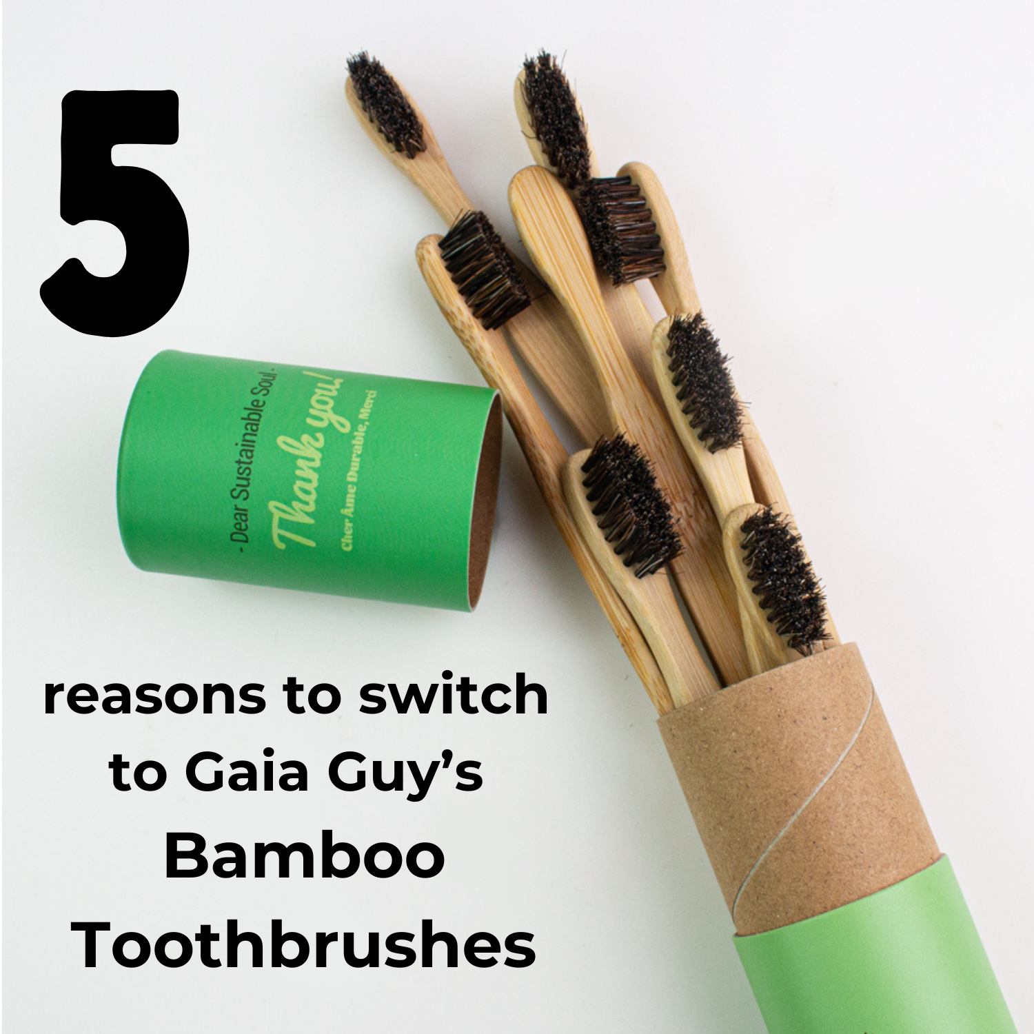 switch to bamboo toothbrushes
