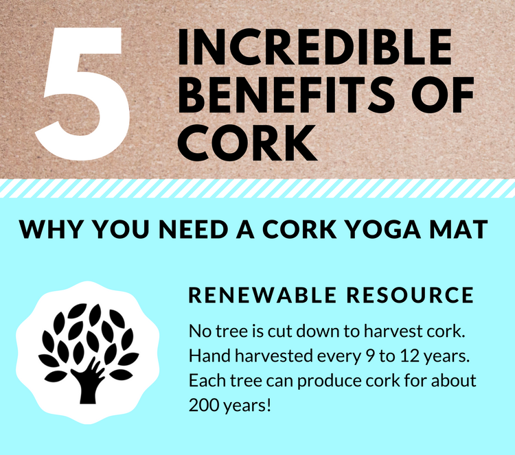 5 INCREDIBLE BENEFITS OF CORK - Why you need a cork yoga mat!