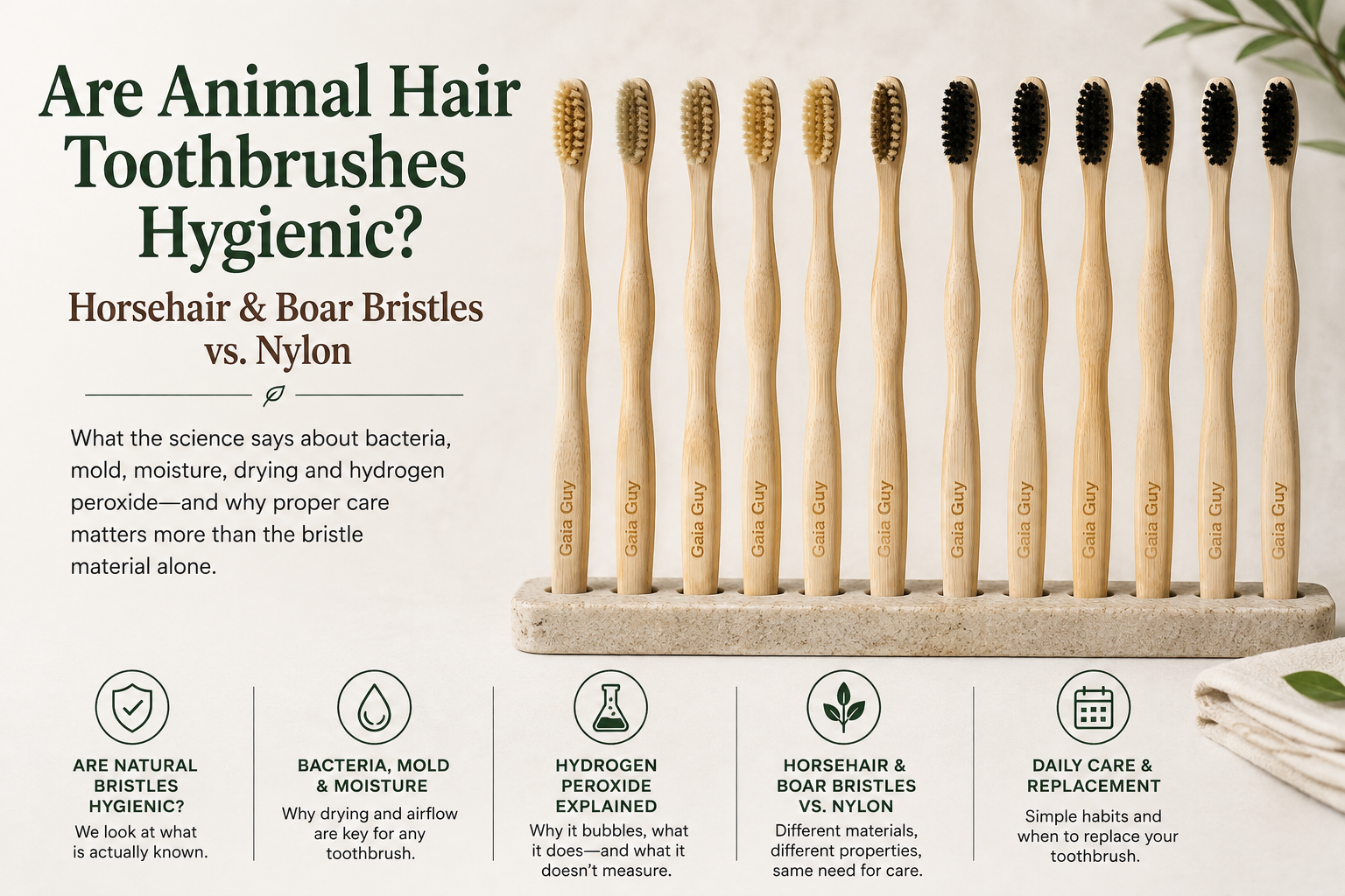 Are Animal Hair Toothbrushes Hygienic? Horsehair & Boar Bristles vs. Nylon