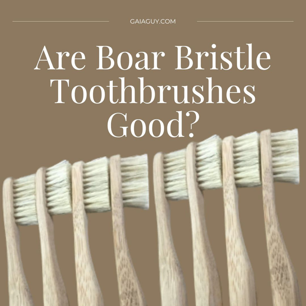 Are Boar Bristle Toothbrushes Good?