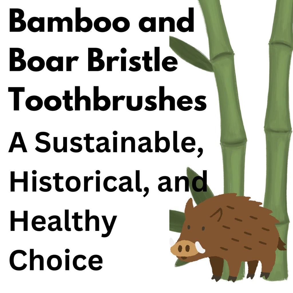 Bamboo and Boar Bristle Toothbrushes: A Sustainable, Historical, and Healthy Choice