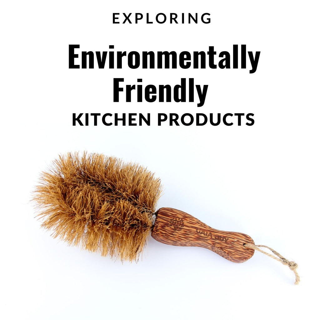 Exploring Environmentally Friendly Kitchen Products