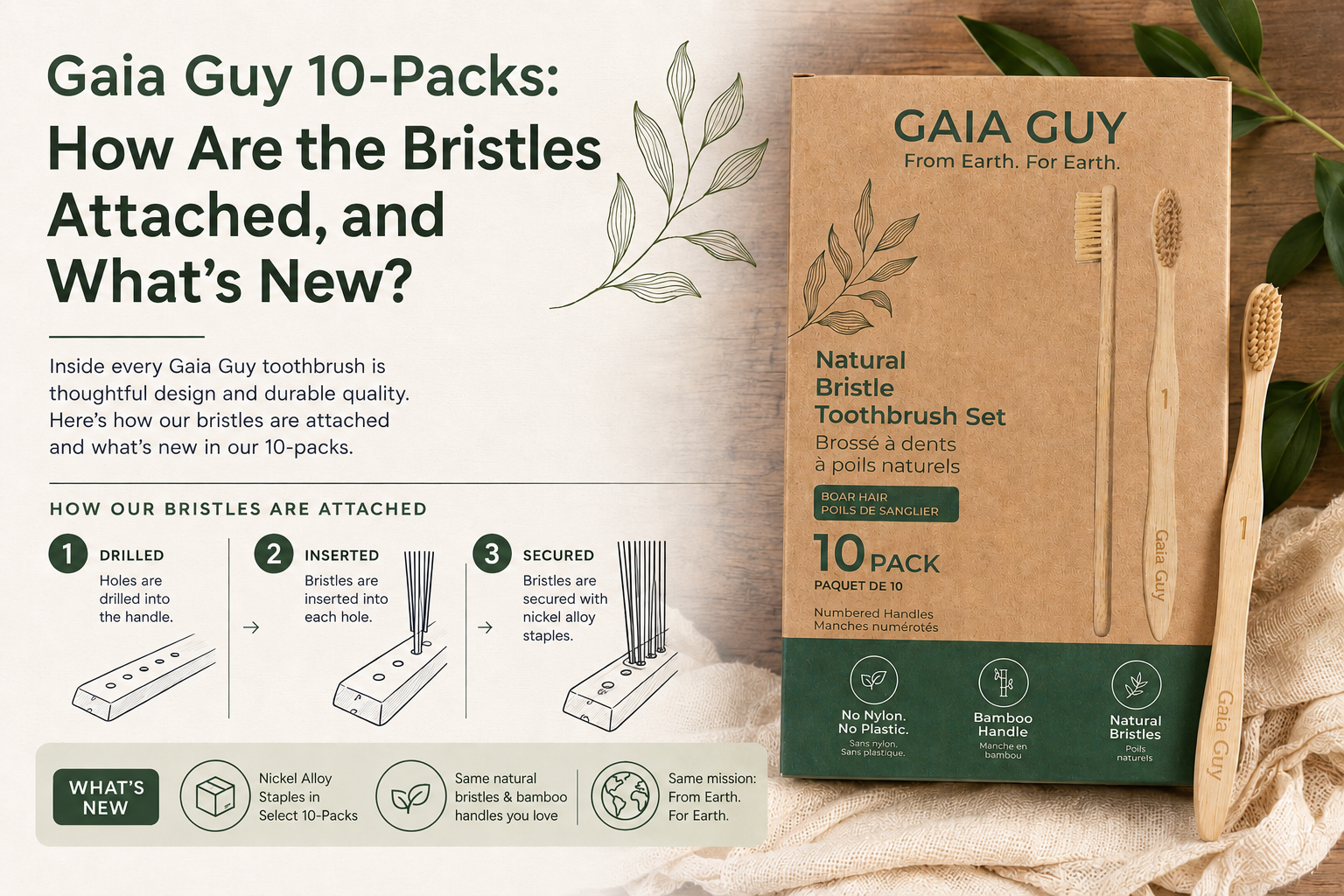 How Are Toothbrush Bristles Attached? Inside Gaia Guy's New 10-Pack Design