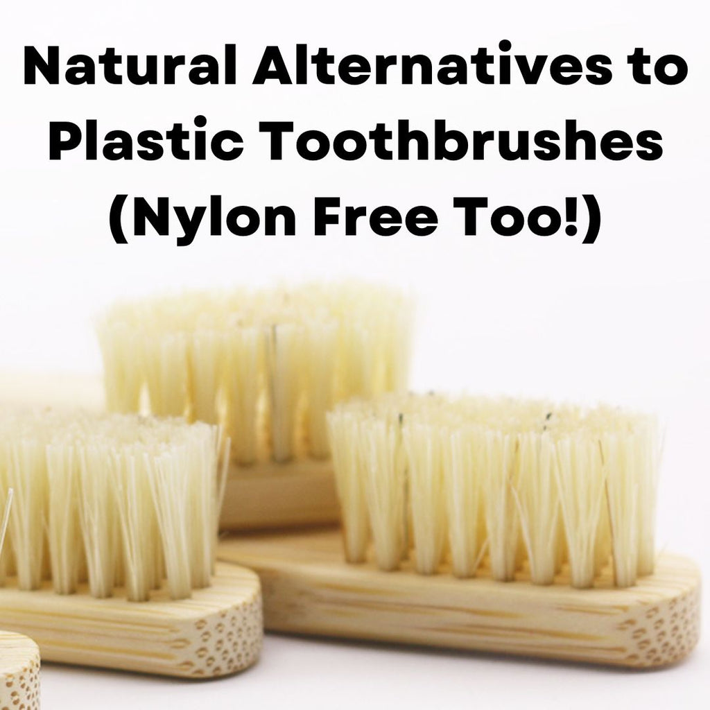 Natural Alternatives to Plastic Toothbrushes (Nylon Free Too!)