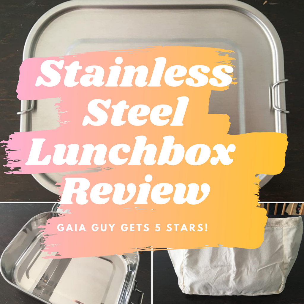 Stainless Steel Lunchbox Review