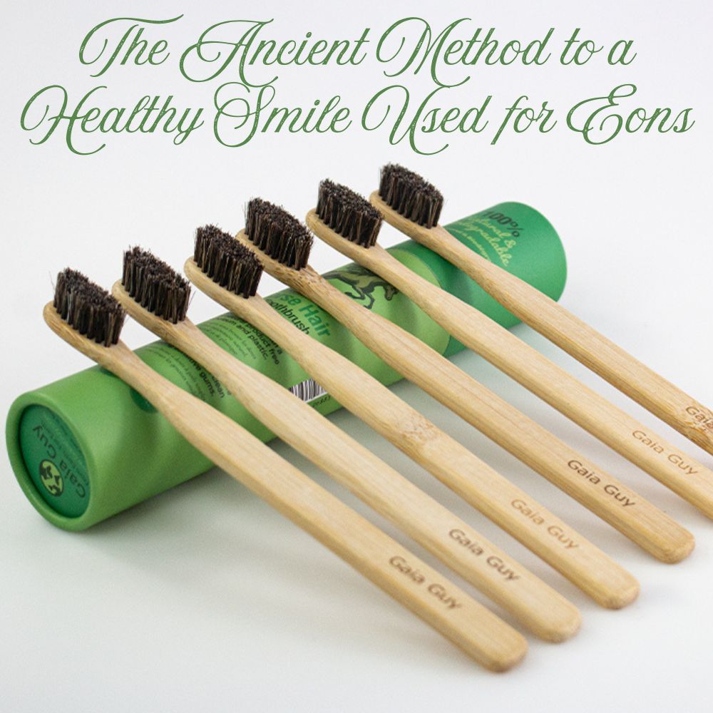 The Ancient Method to a Healthy Smile Used for Eons
