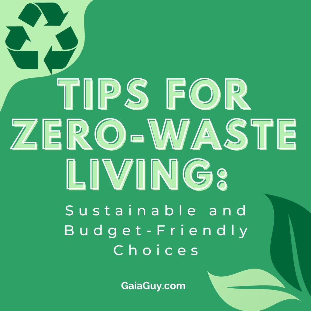 Tips for Zero-Waste Living: Sustainable and Budget-Friendly Choices