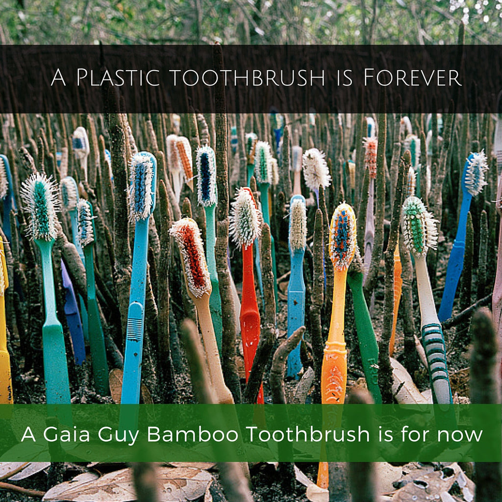 A Toothbrush Shouldn't Be Forever