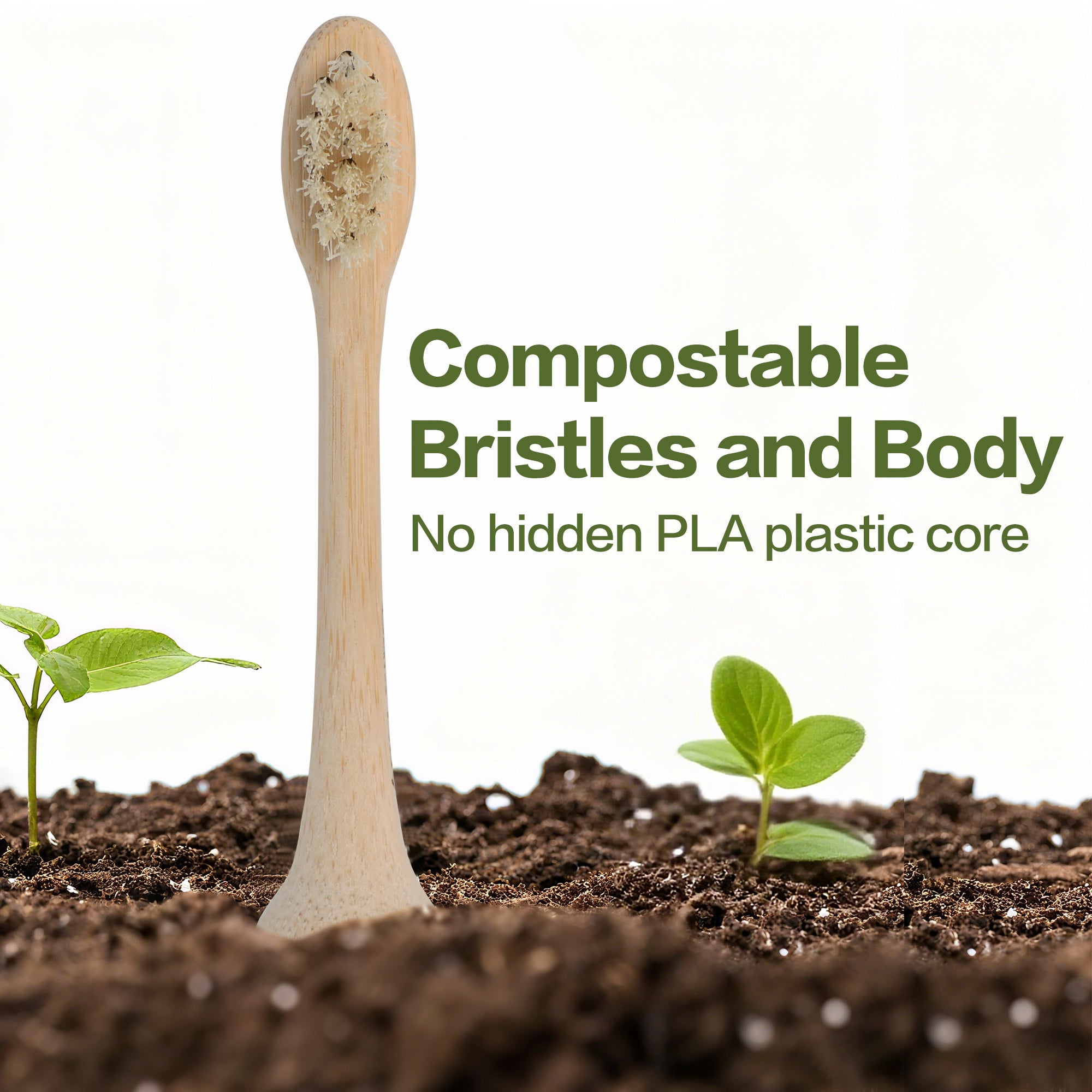 Meet the World’s First Bamboo & Natural Bristle Sonicare-Compatible Heads