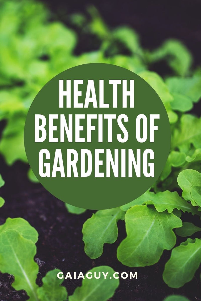 Health Benefits of Gardening (Now More Than Ever)