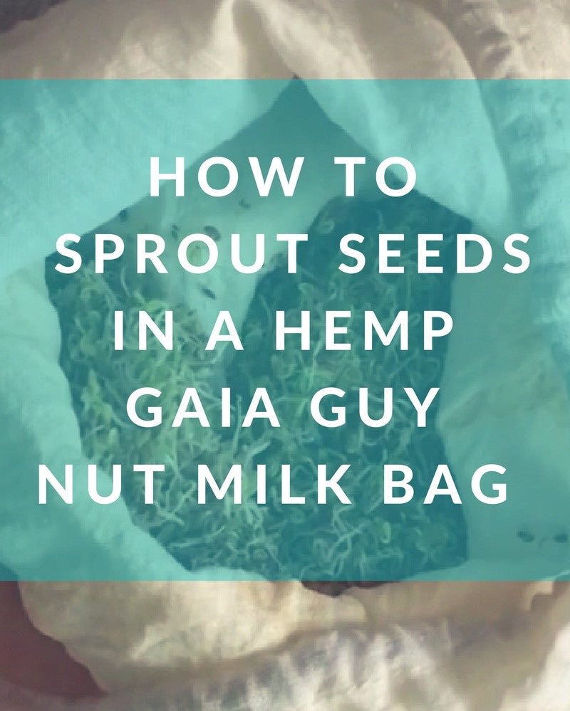 Sprouting Seeds in a Hemp Sprout Bag