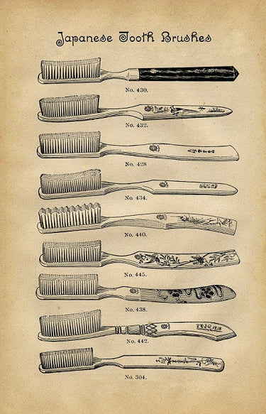 First Toothbrushes The History of the Toothbrush in Video โ Gaia Guy