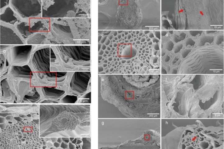 MicroPlastics MicroChanges