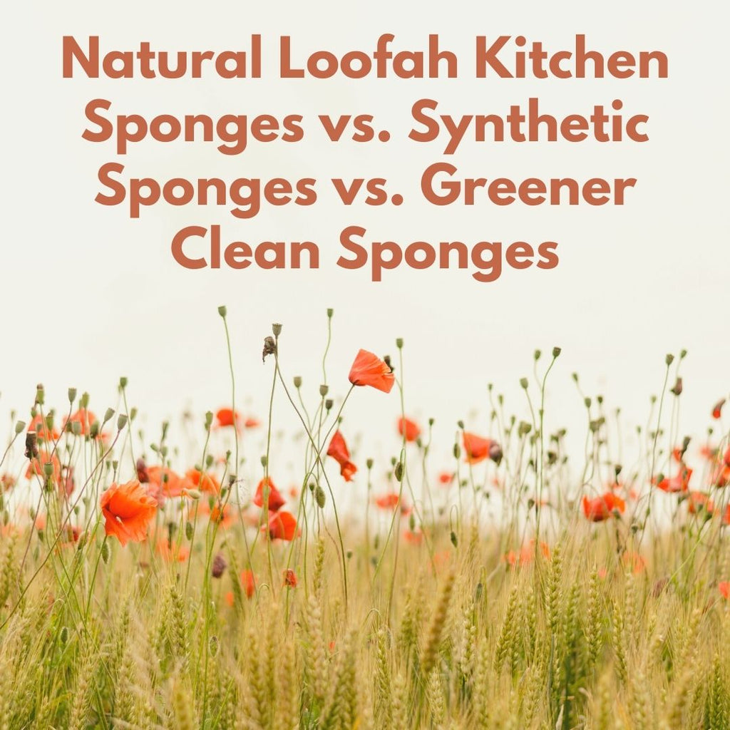Natural Loofah Kitchen Sponges vs. Synthetic Sponges vs. Greener Clean Sponges