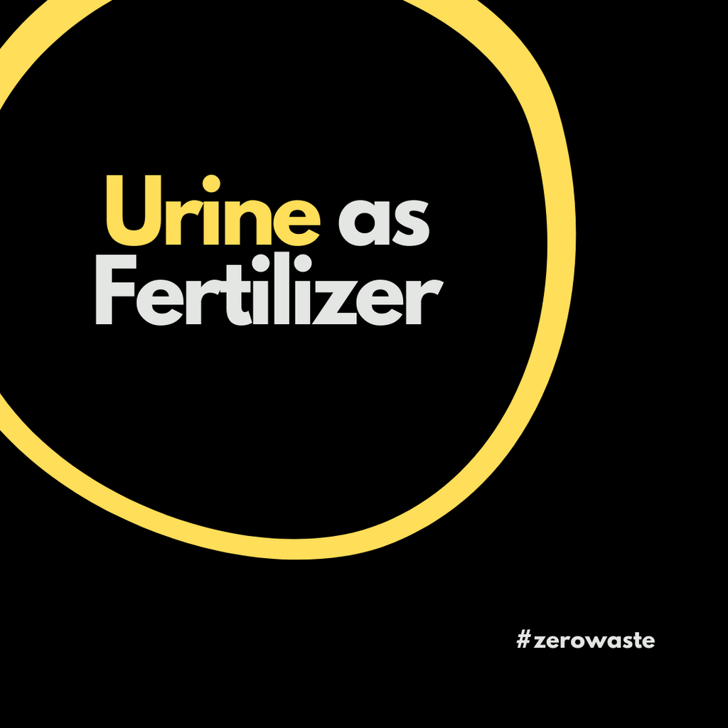 Human Urine + Sauerkraut Juice + Biochar = Free Fertilizer