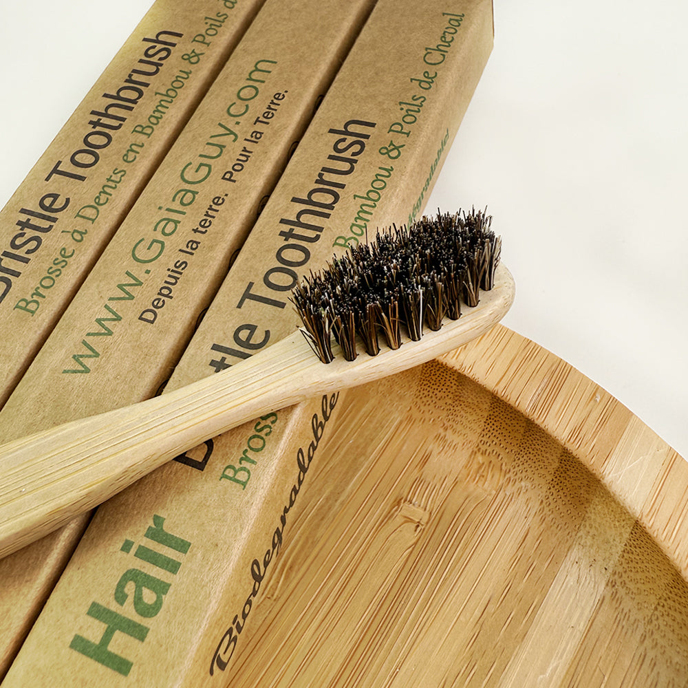 Bamboo and Horsehair Toothbrushes w/ Silk Floss and Bamboo Travel Case