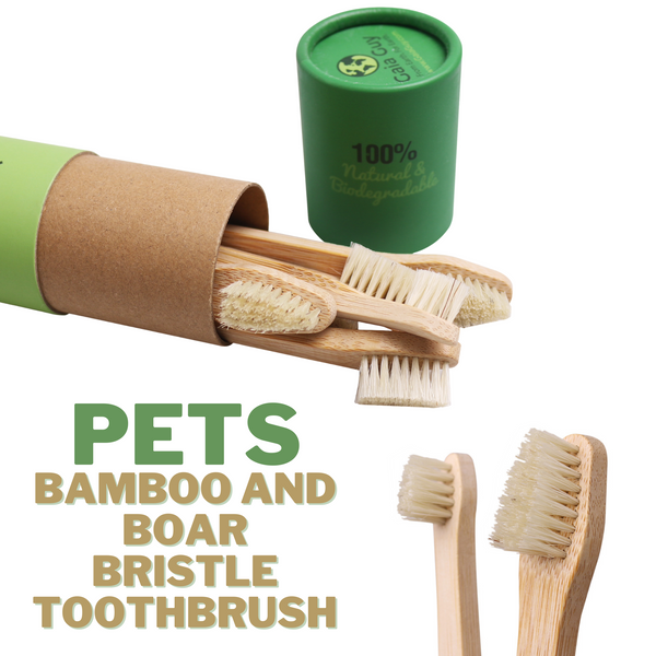 Gaia Guy Sustainable Bamboo and Boar Bristle Pet Toothbrushes