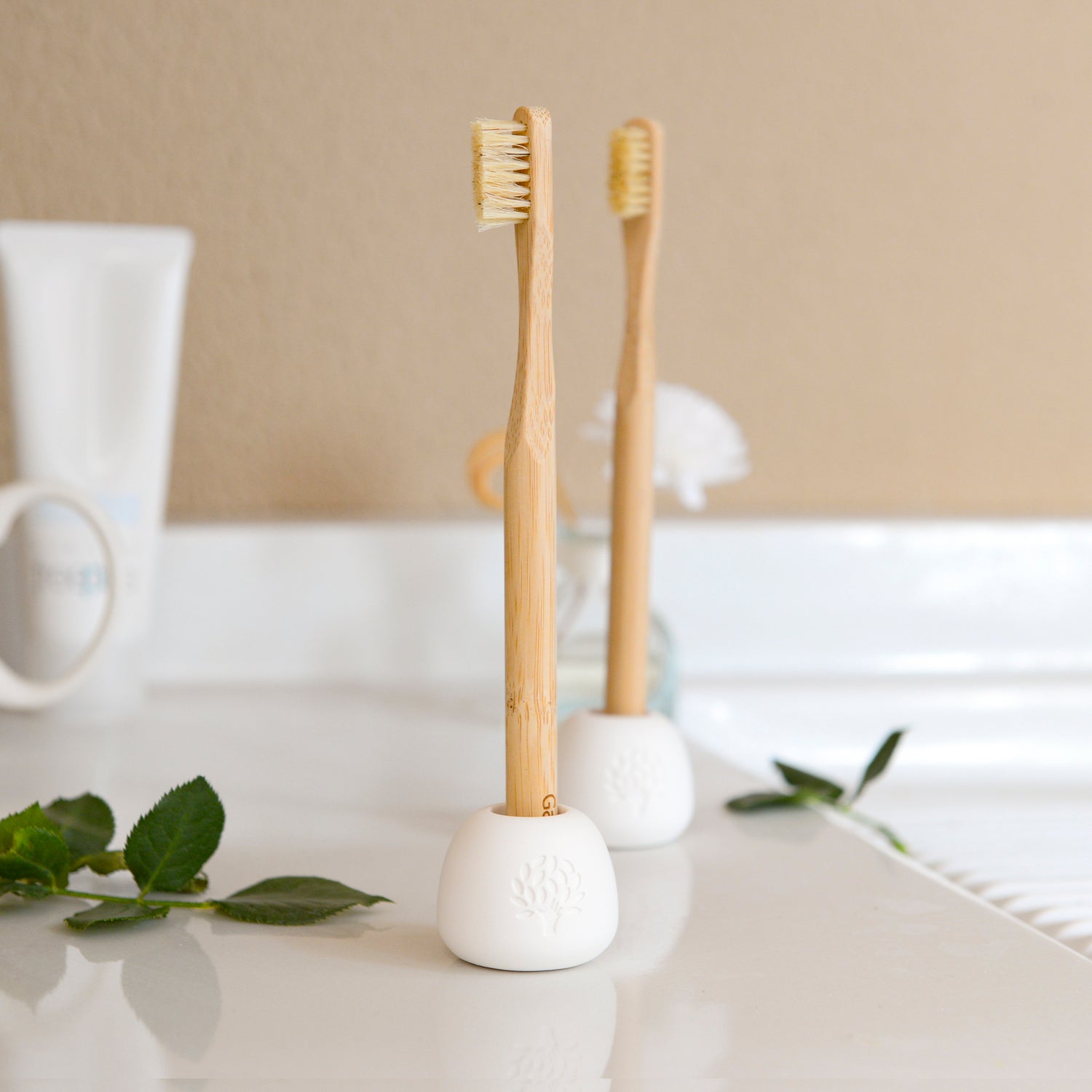 Bamboo and Boar Hair Toothbrush Bundle: 6-Pack + Stylish Diatomite Toothbrush Holder