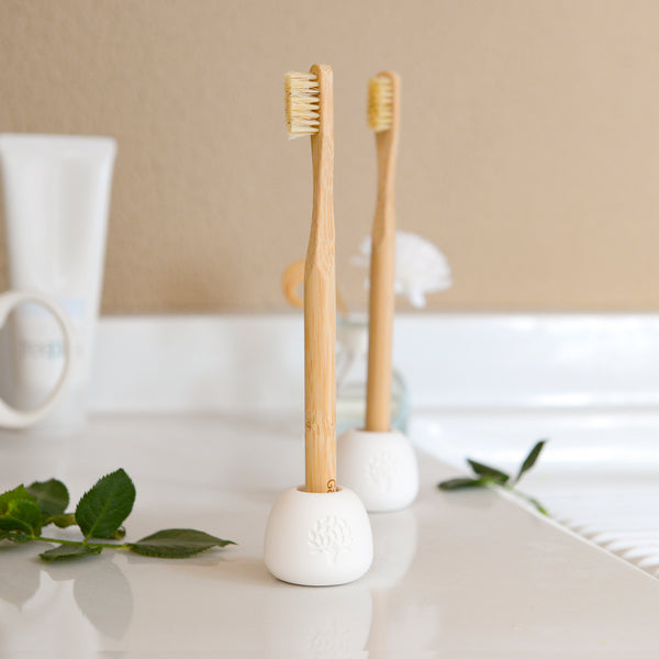 Organic Bamboo and Boar Hair Toothbrush Bundle: 6-Pack + Stylish Diatomite Toothbrush Holder