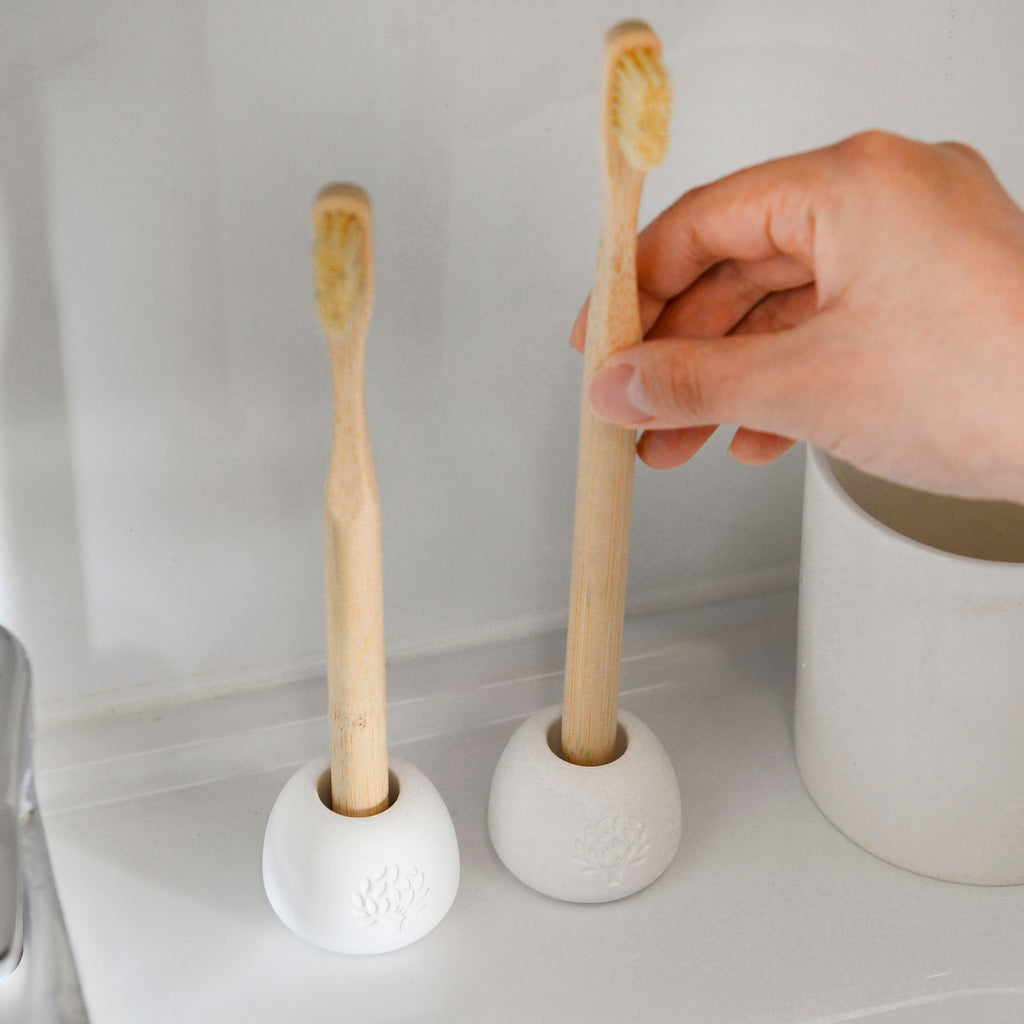 Organic Bamboo and Boar Hair Toothbrush Bundle 6Pack + Stylish Diato