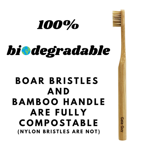 Eco-Friendly Dental Care Products for Zero Waste Oral Health - Plastic-Free Oral Hygiene Kit