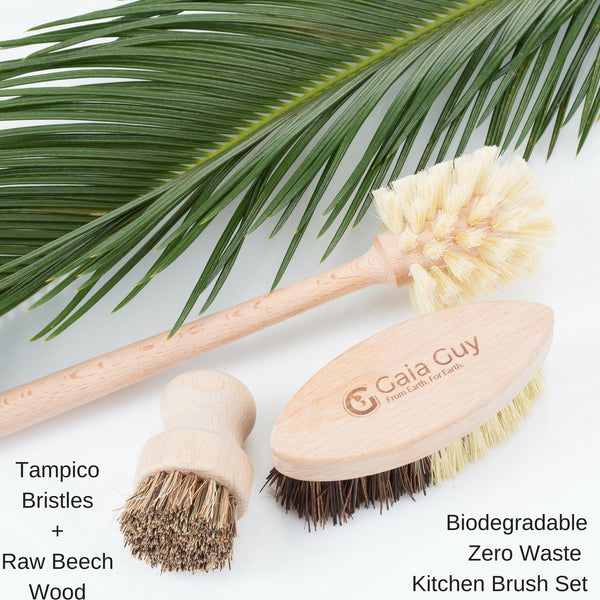 Wood and Tampico Bottle Brush - Pot Brush - Vegetable Brush Set - Zero Waste & Biodegradable Kitchen Brushes