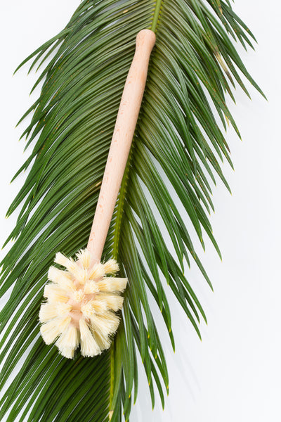 Wood and Tampico Bottle Brush - Pot Brush - Vegetable Brush Set - Zero Waste & Biodegradable Kitchen Brushes