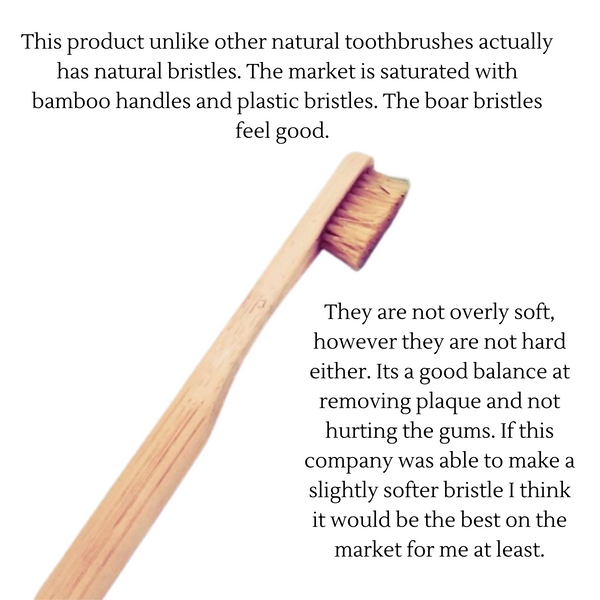 Eco-Friendly Dental Care Products for Zero Waste Oral Health - Plastic-Free Oral Hygiene Kit