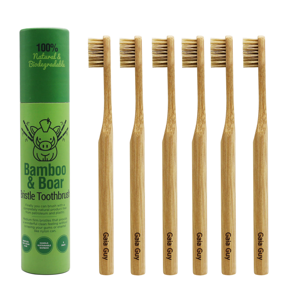 Boar Hair Brush, Tin Handle, Package of 5